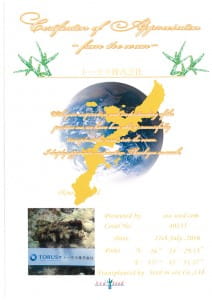 トーラス株式会社サンゴ