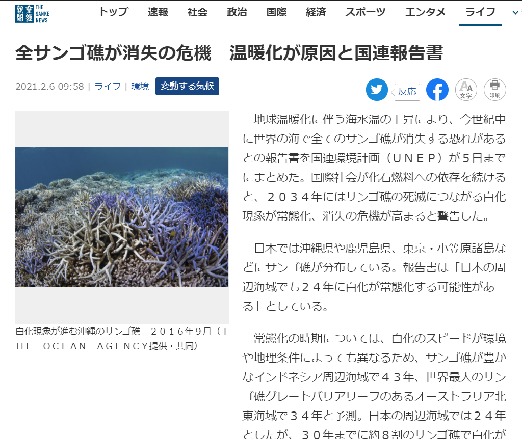 全サンゴ礁が消滅の危機