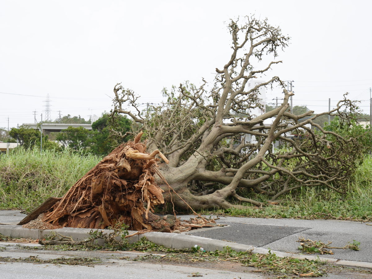 沖縄台風被害